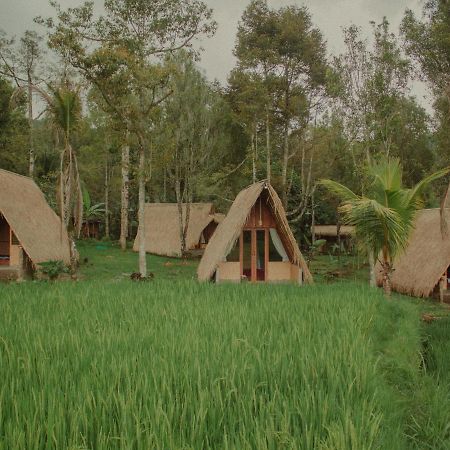 Da'Kayu Glamping Hotel Munduk  Exterior photo