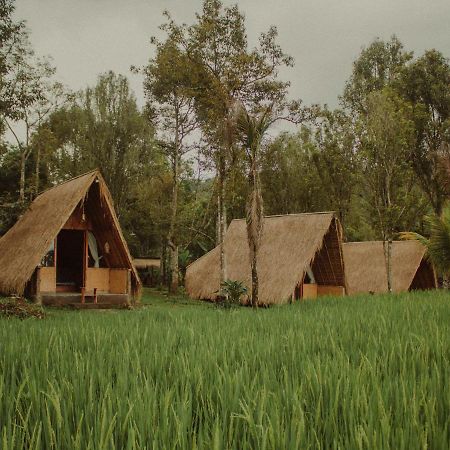 Da'Kayu Glamping Hotel Munduk  Exterior photo