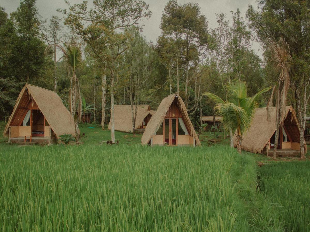 Da'Kayu Glamping Hotel Munduk  Exterior photo