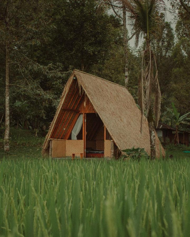 Da'Kayu Glamping Hotel Munduk  Exterior photo