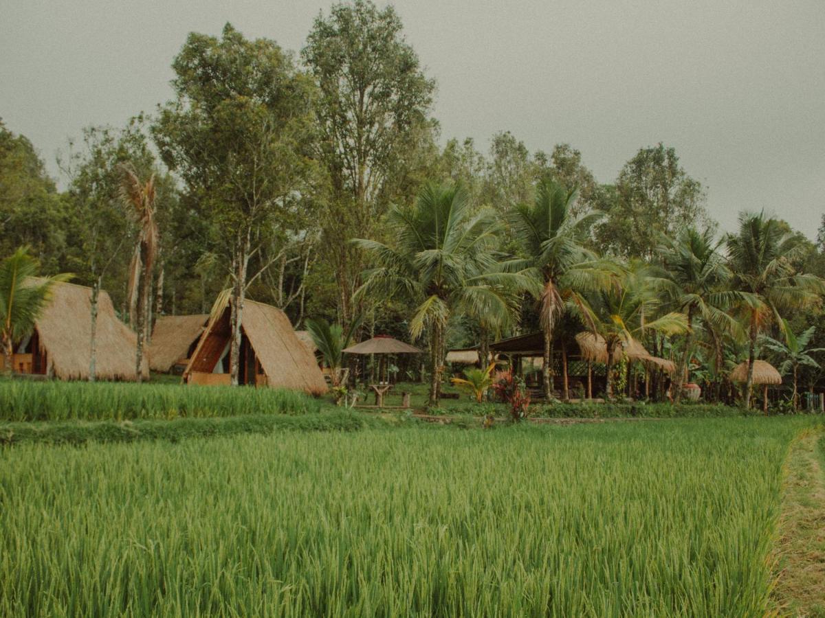 Da'Kayu Glamping Hotel Munduk  Exterior photo